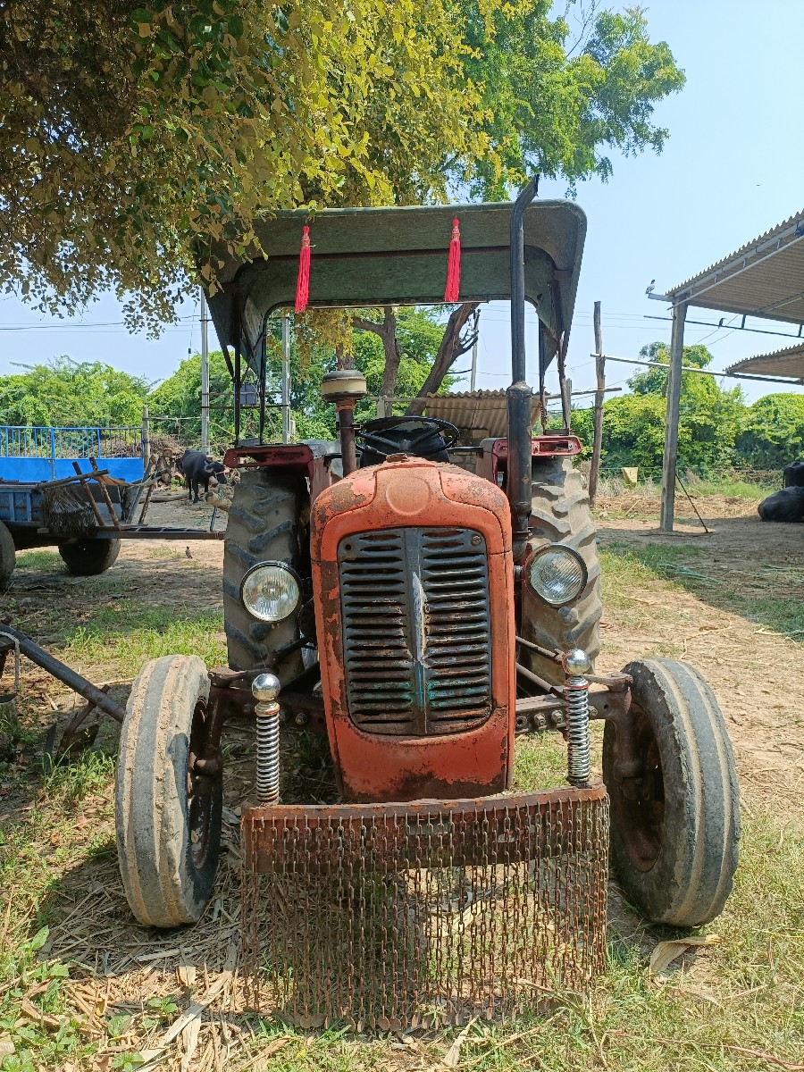 Post Image 6