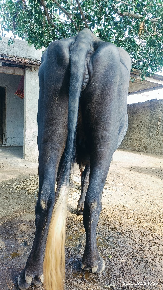 Post Image 3