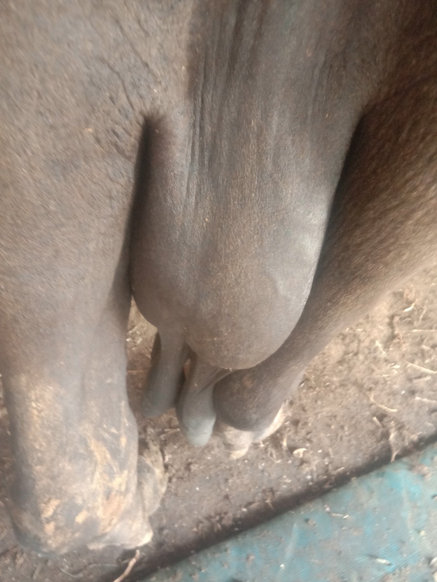 Post Image 6