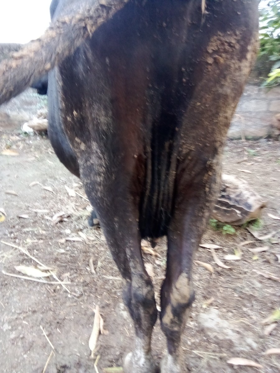 Post Image 2