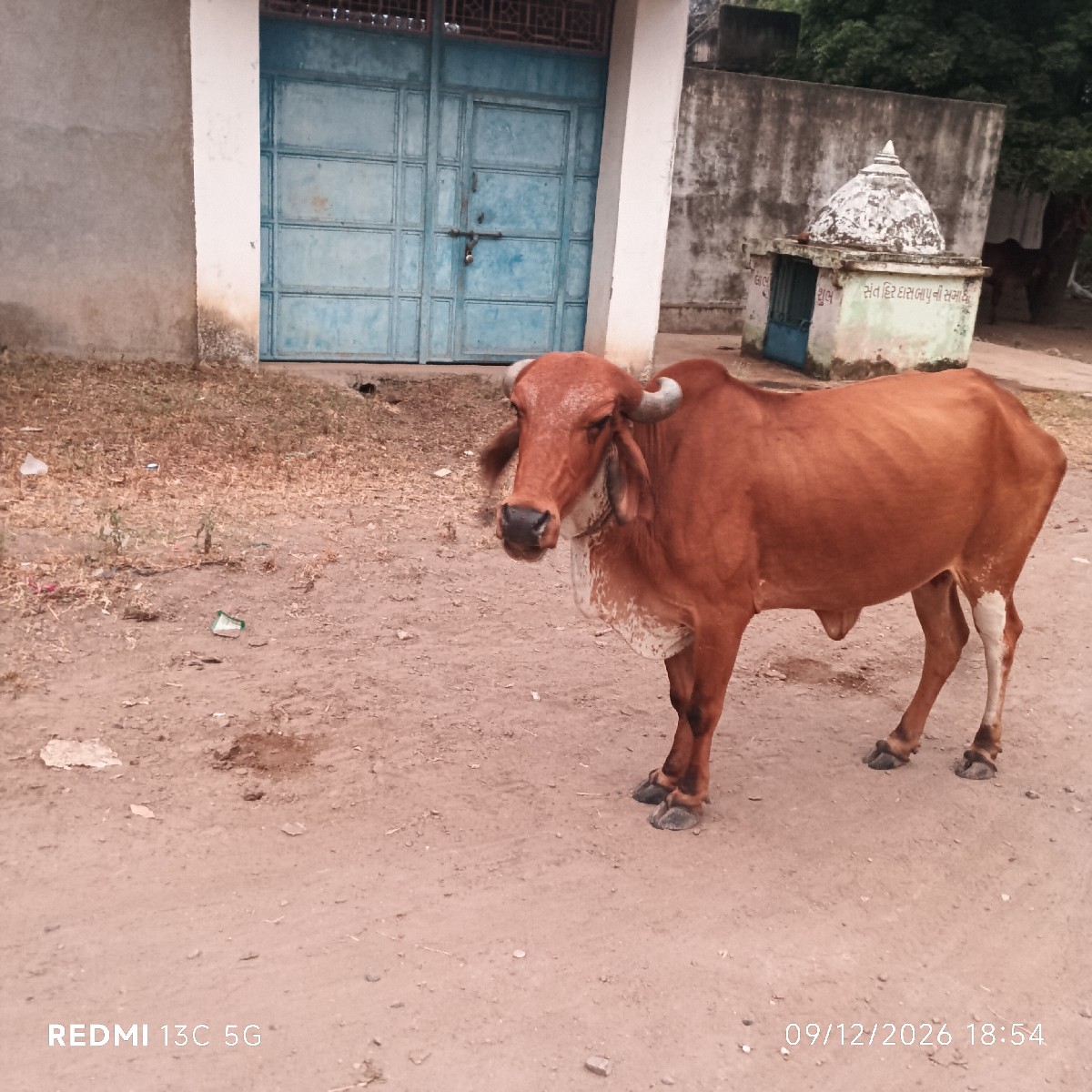 Post Image 3