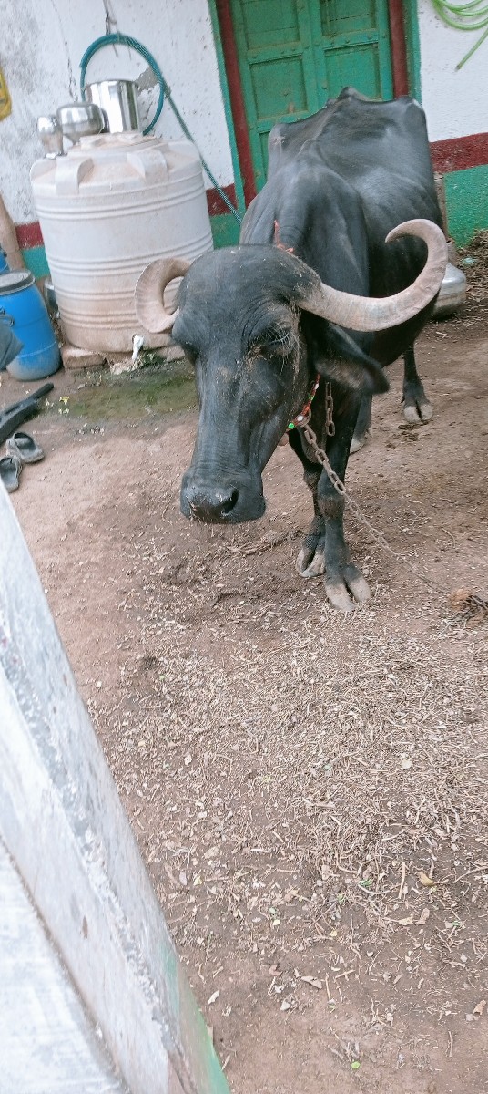 Post Image 2