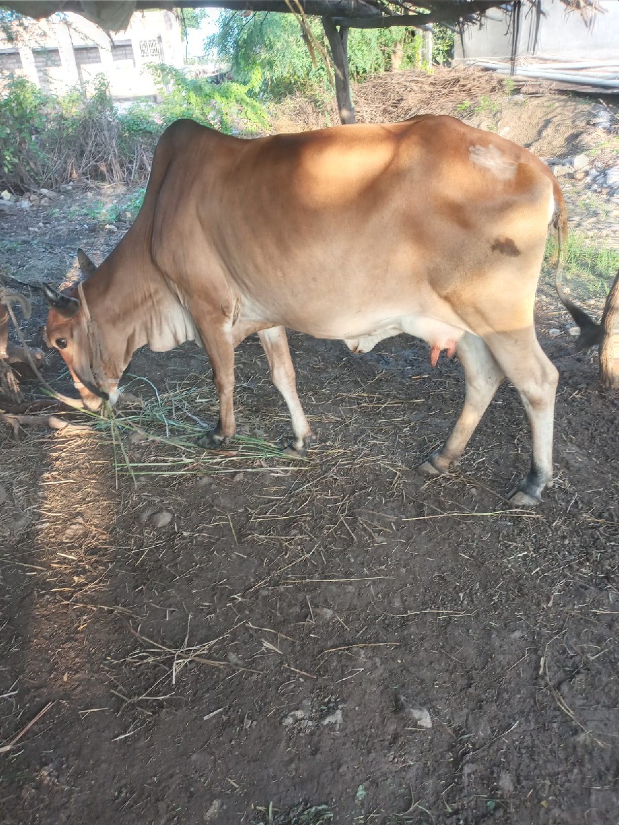 Post Image 2