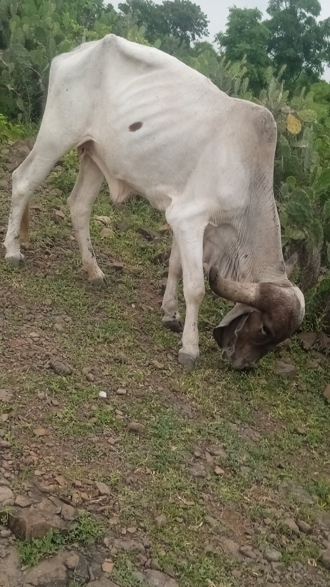 Post Image 2