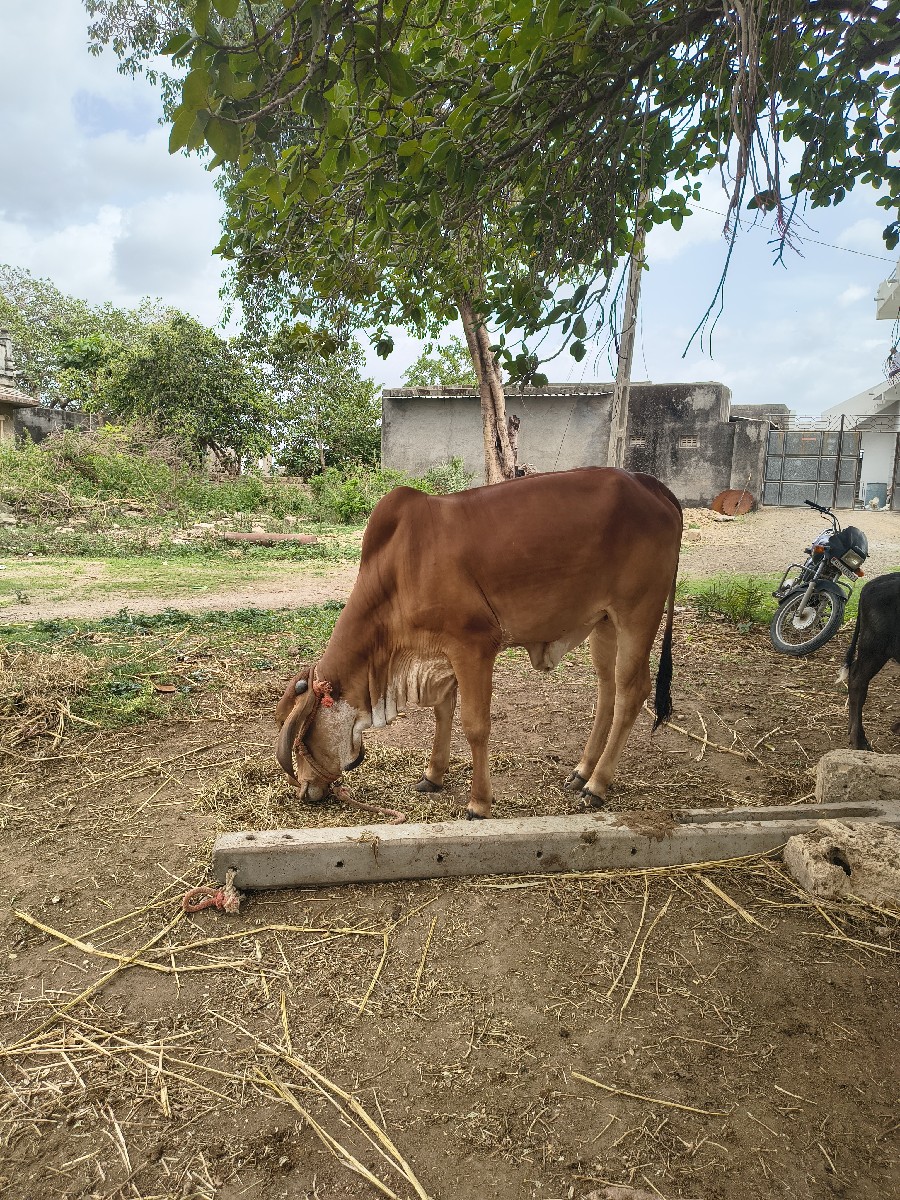 Post Image 3