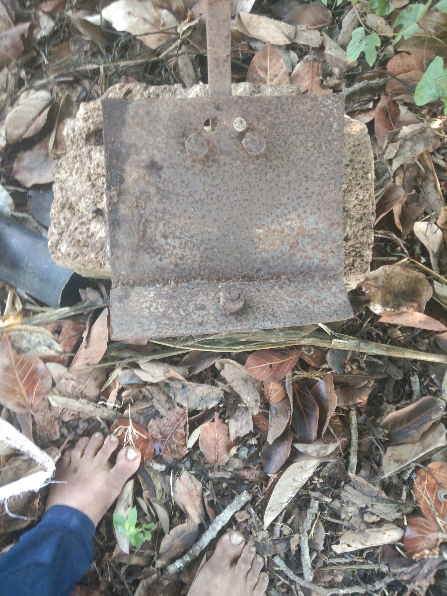 Post Image 3