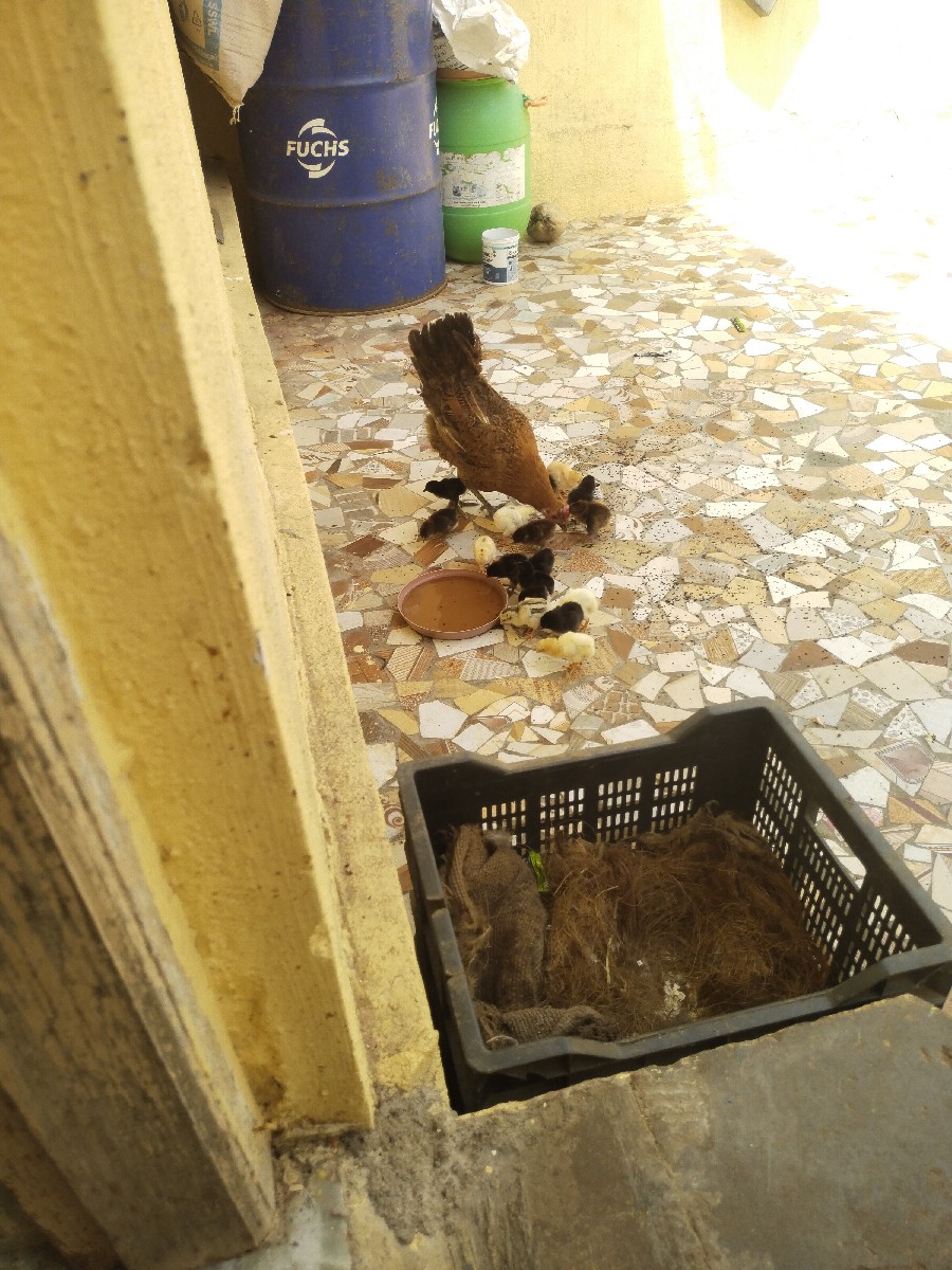 Post Image 1