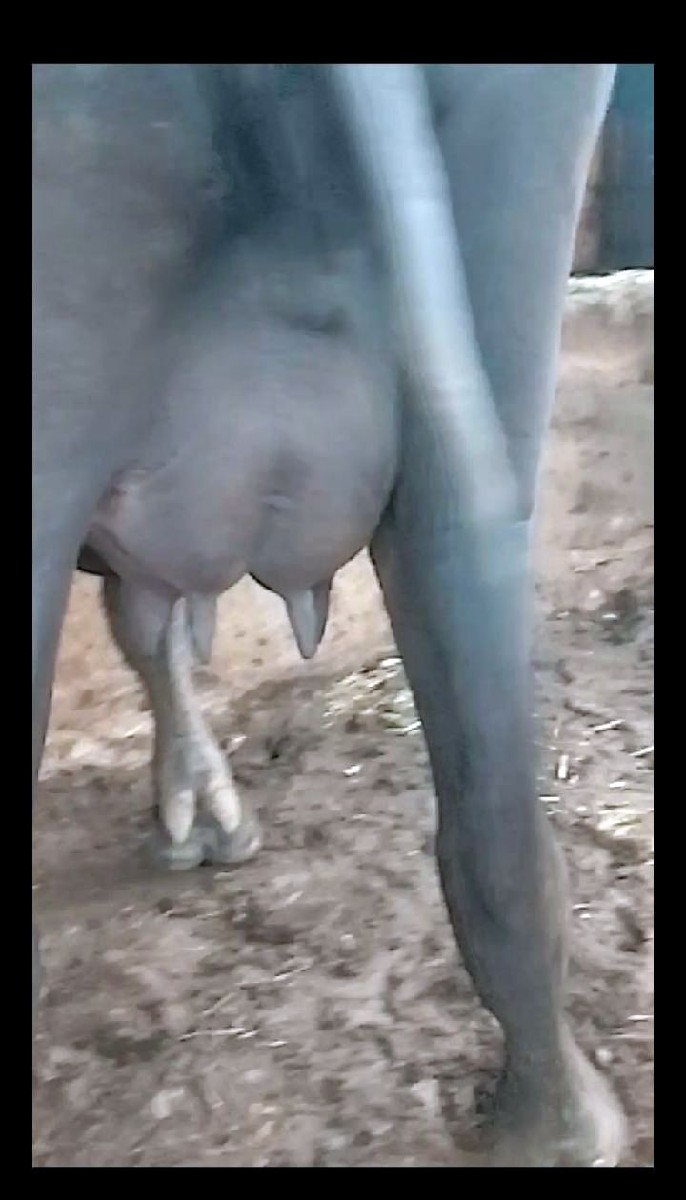 Post Image 2
