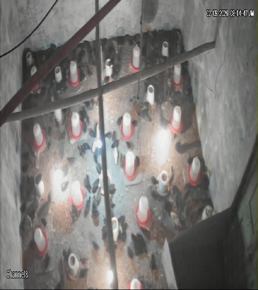 Post Image 2