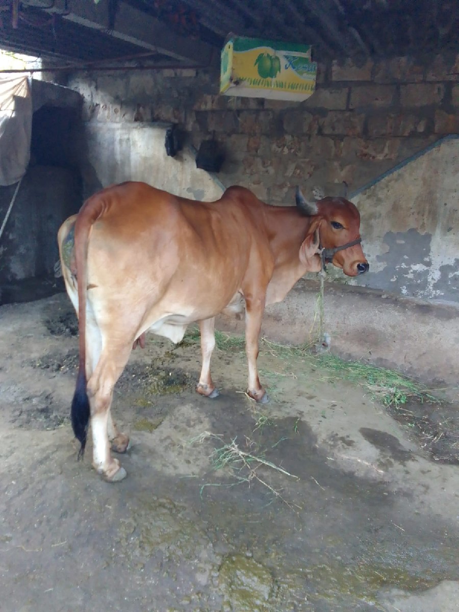 Post Image 3