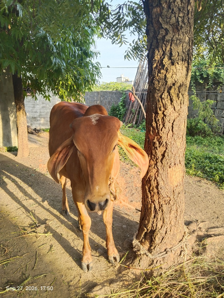Post Image 3