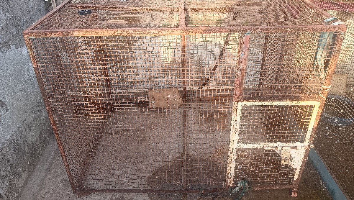 Post Image 3