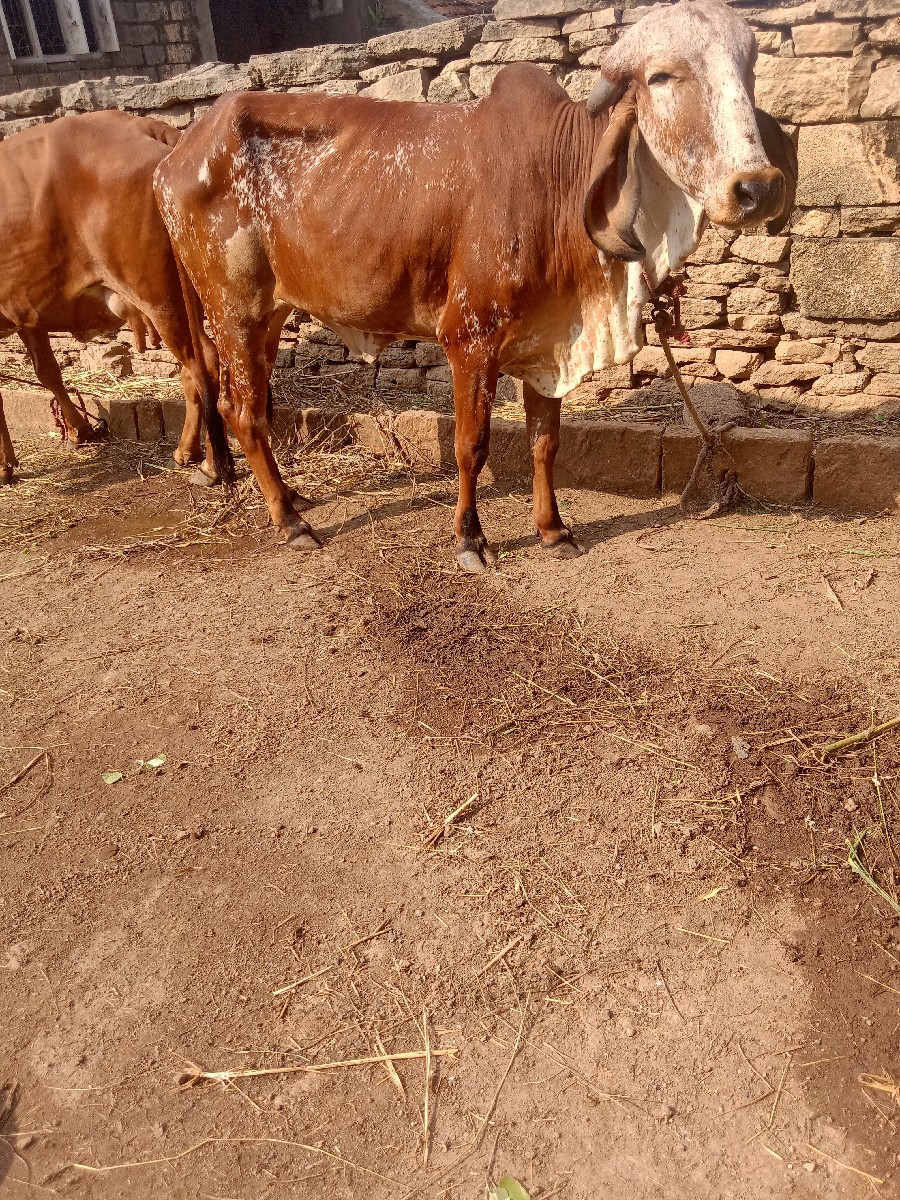 Post Image 2