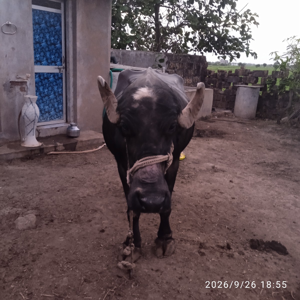 Post Image 3