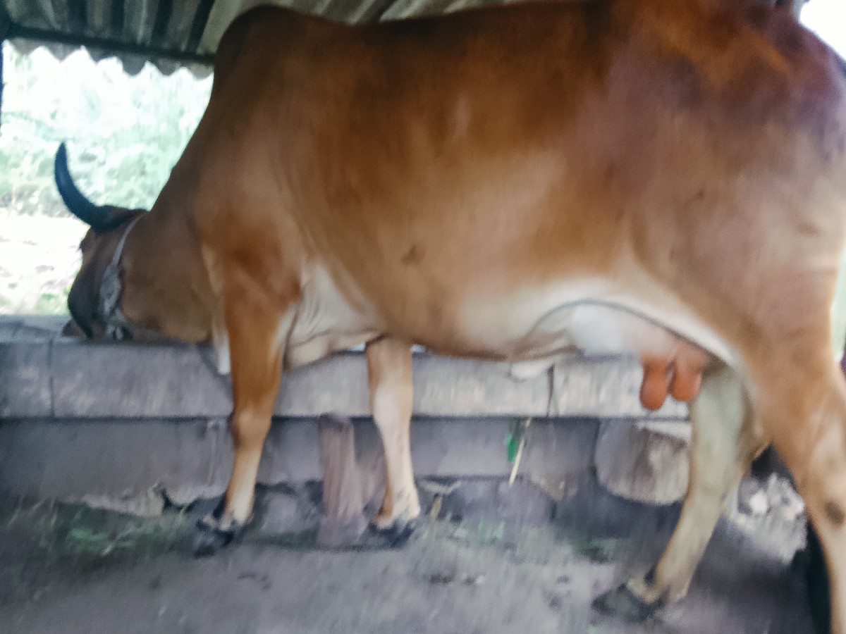 Post Image 4