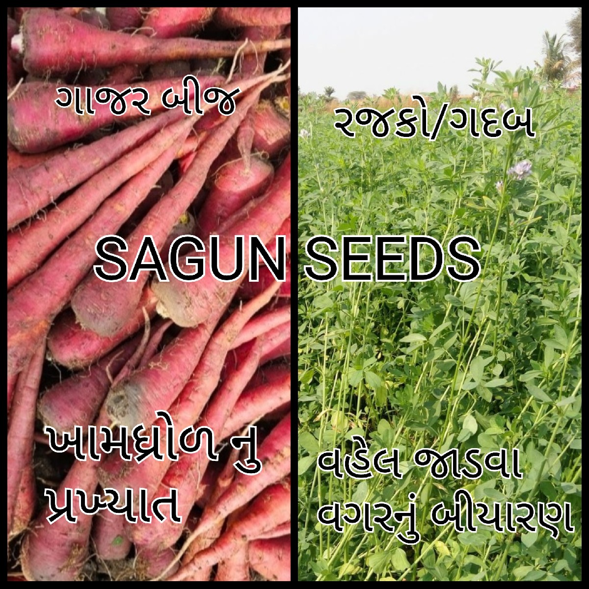 Post Image 4