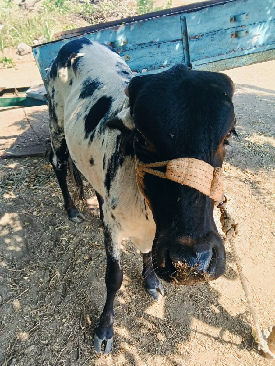 Post Image 3