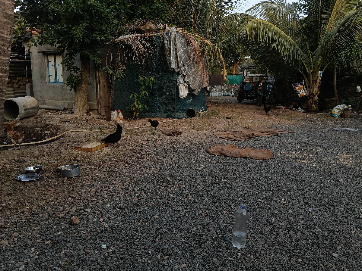 Post Image 3