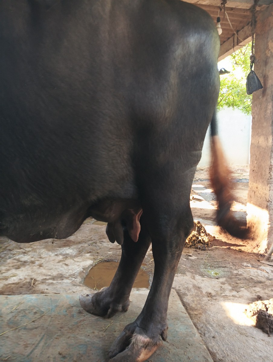 Post Image 2
