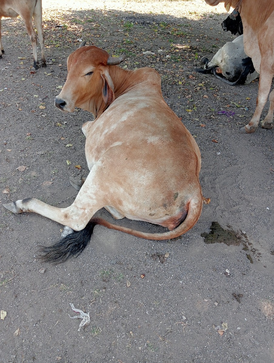 Post Image 2