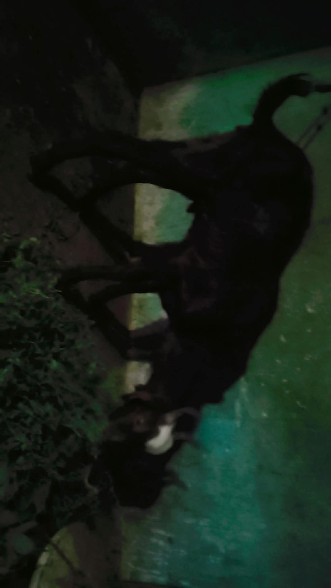 Post Image 2