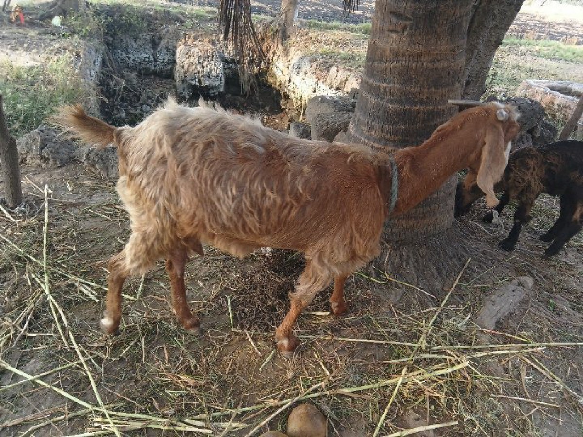 Post Image 2