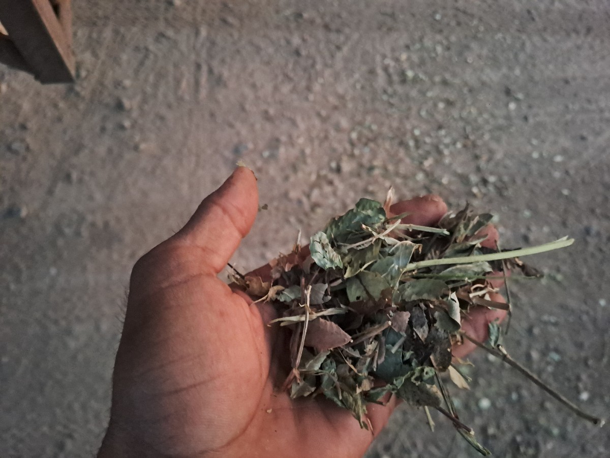 Post Image 2