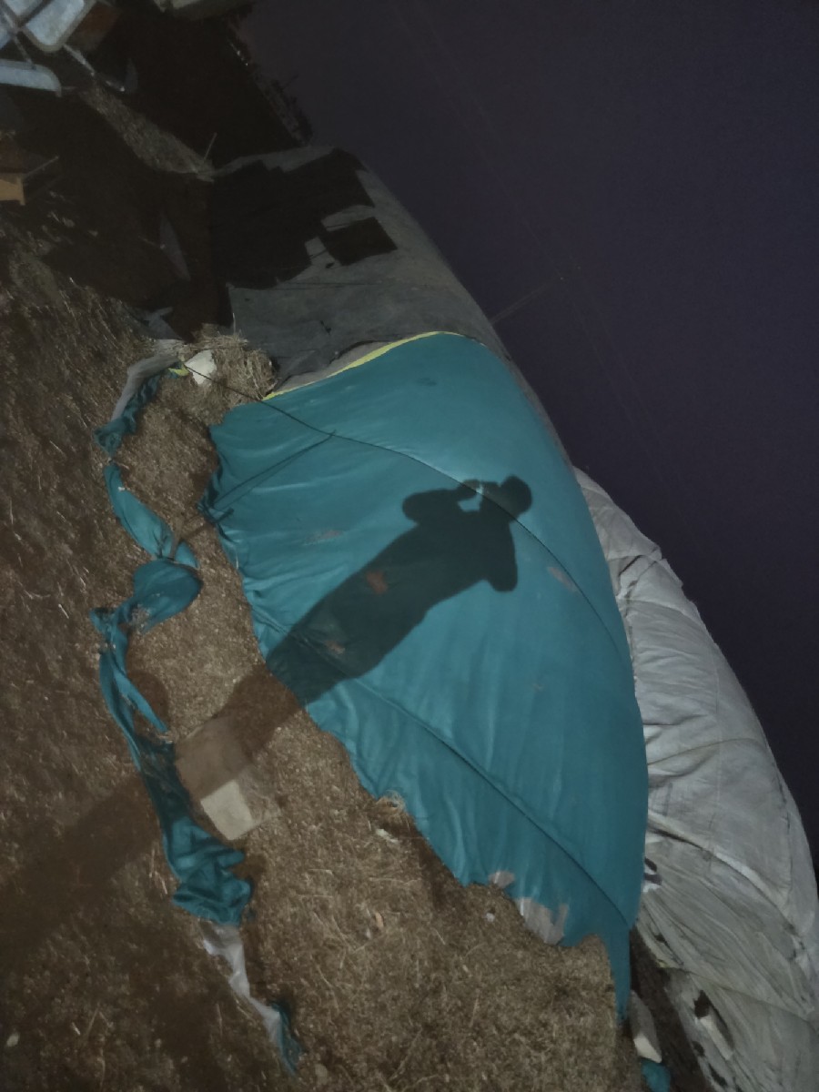 Post Image 3