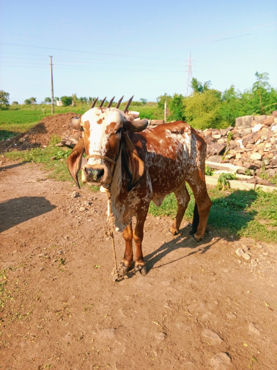 Post Image 2
