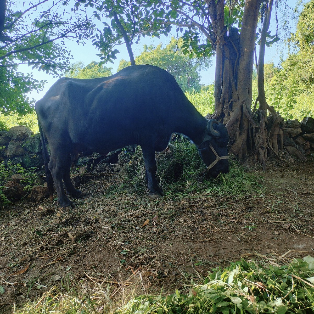 Post Image 3