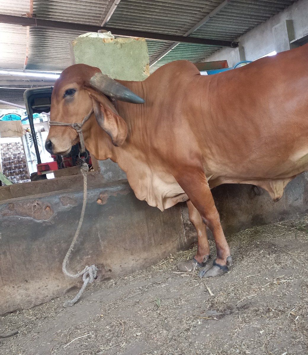 Post Image 2