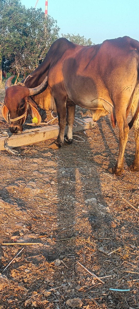 Post Image 3