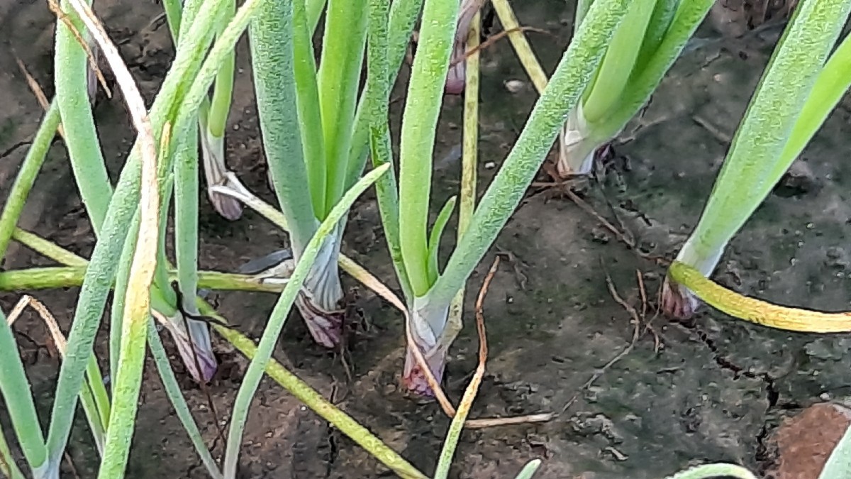 Post Image 3