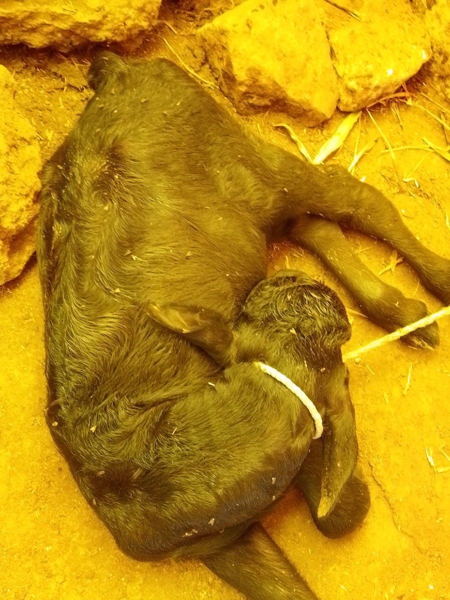 Post Image 2