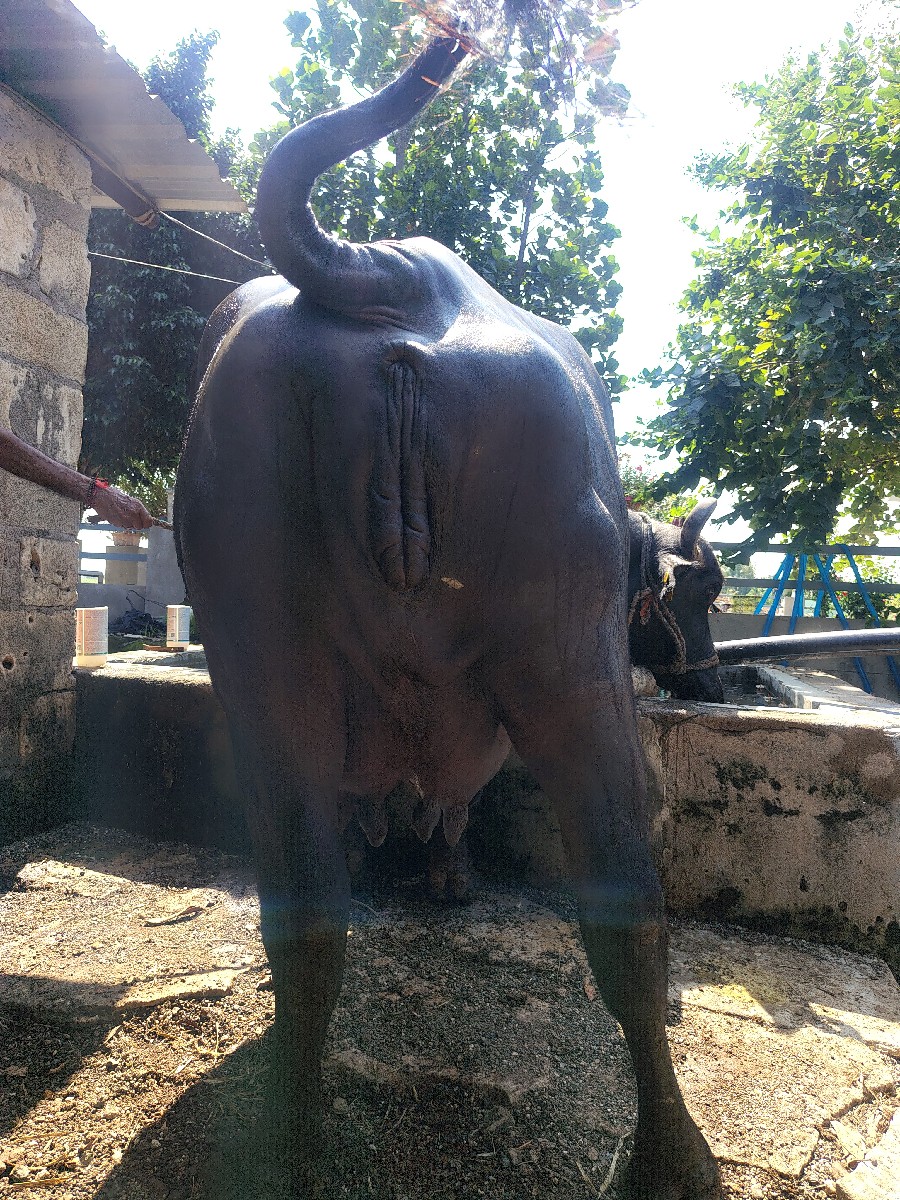 Post Image 2