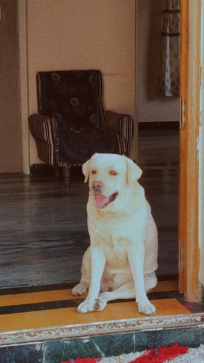 Post Image 3