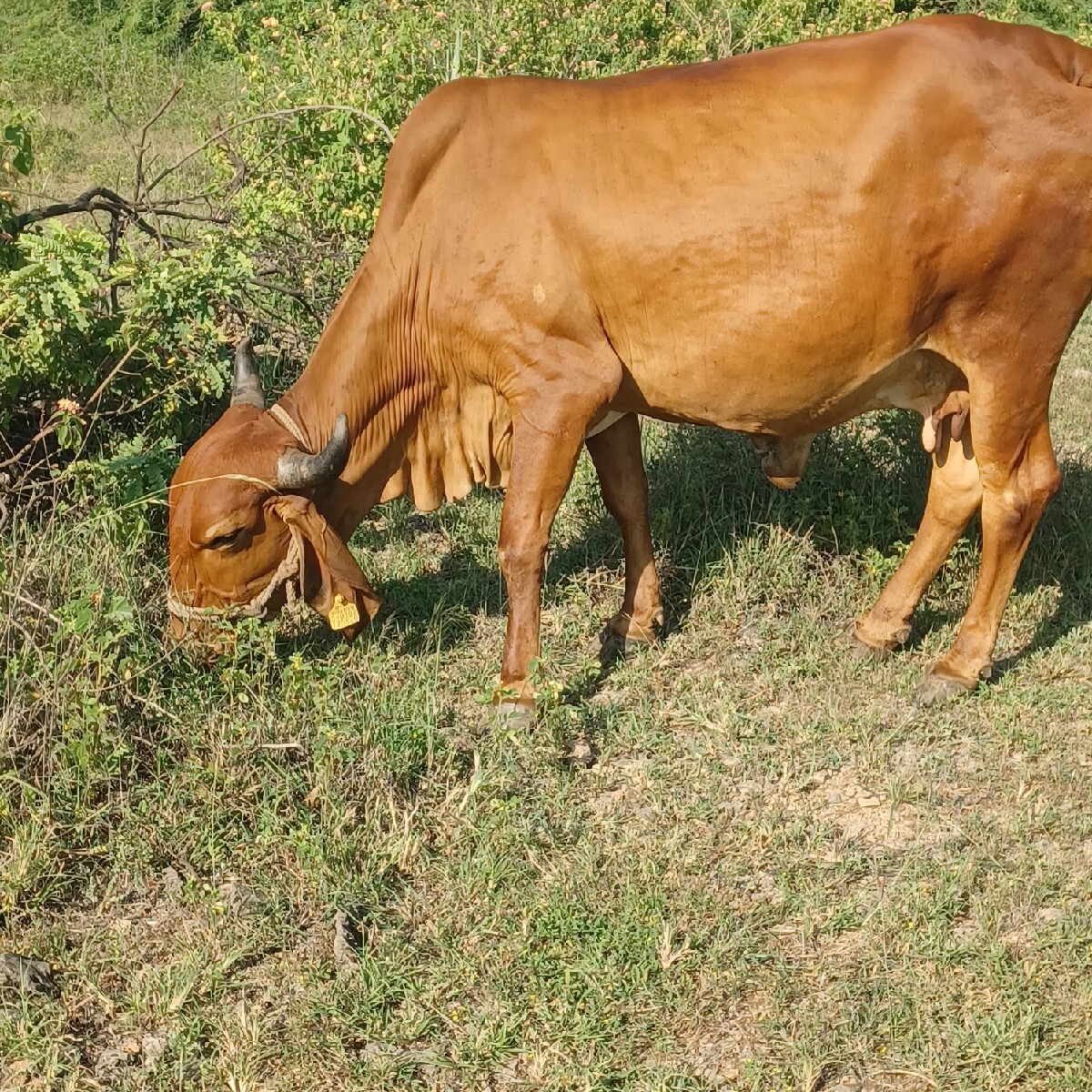 Post Image 1