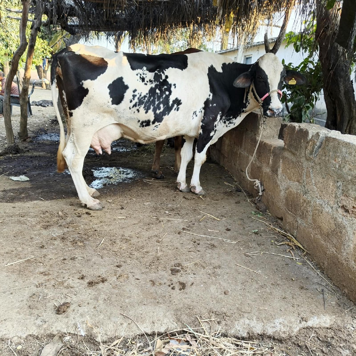 Post Image 1