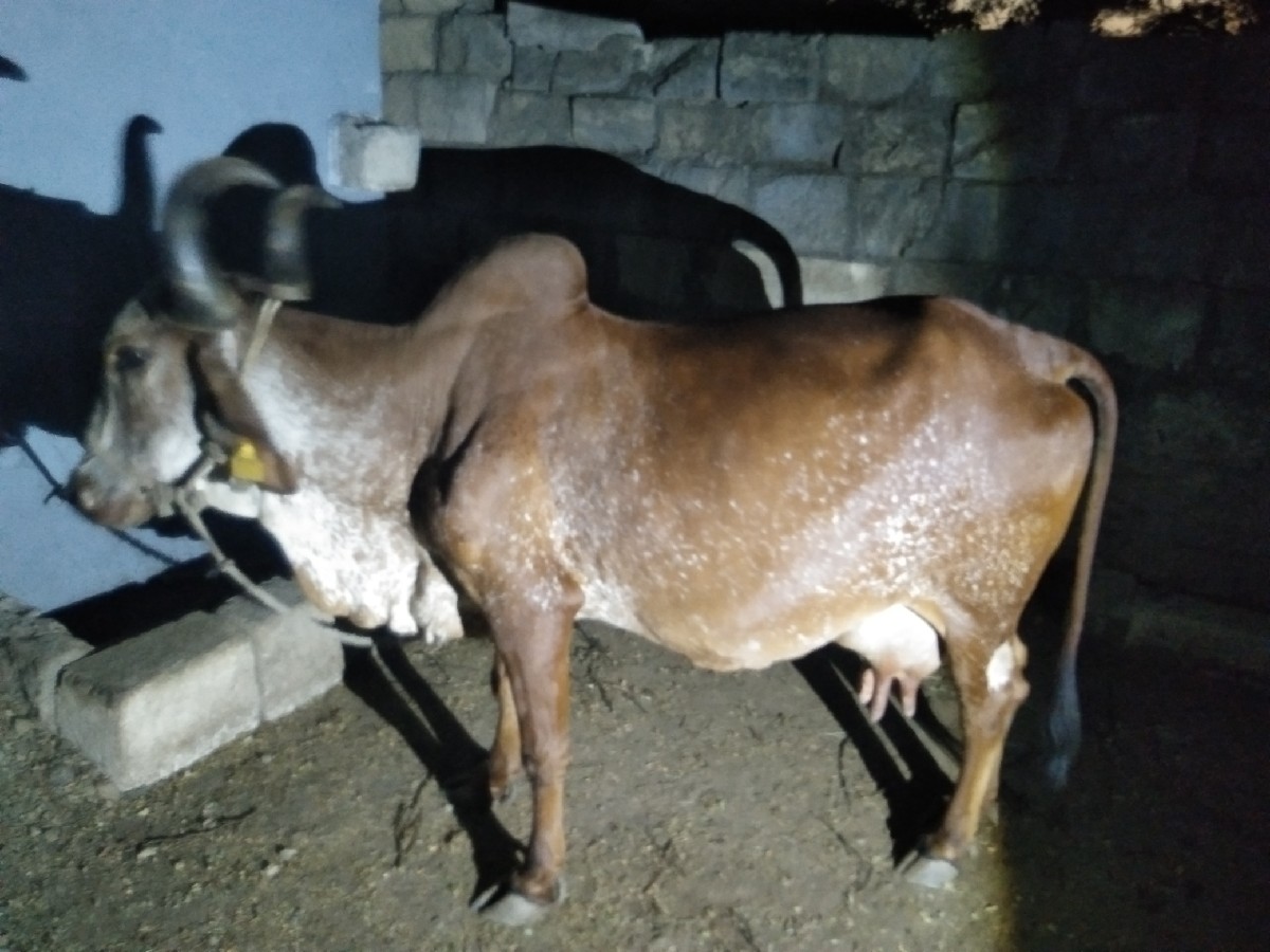 Post Image 2