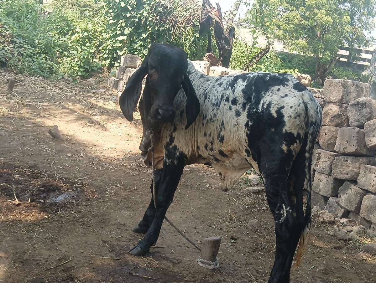 Post Image 2