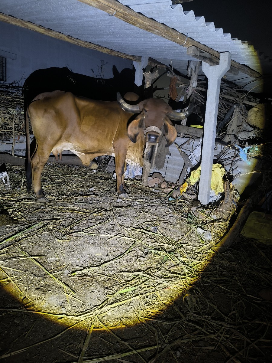 Post Image 3