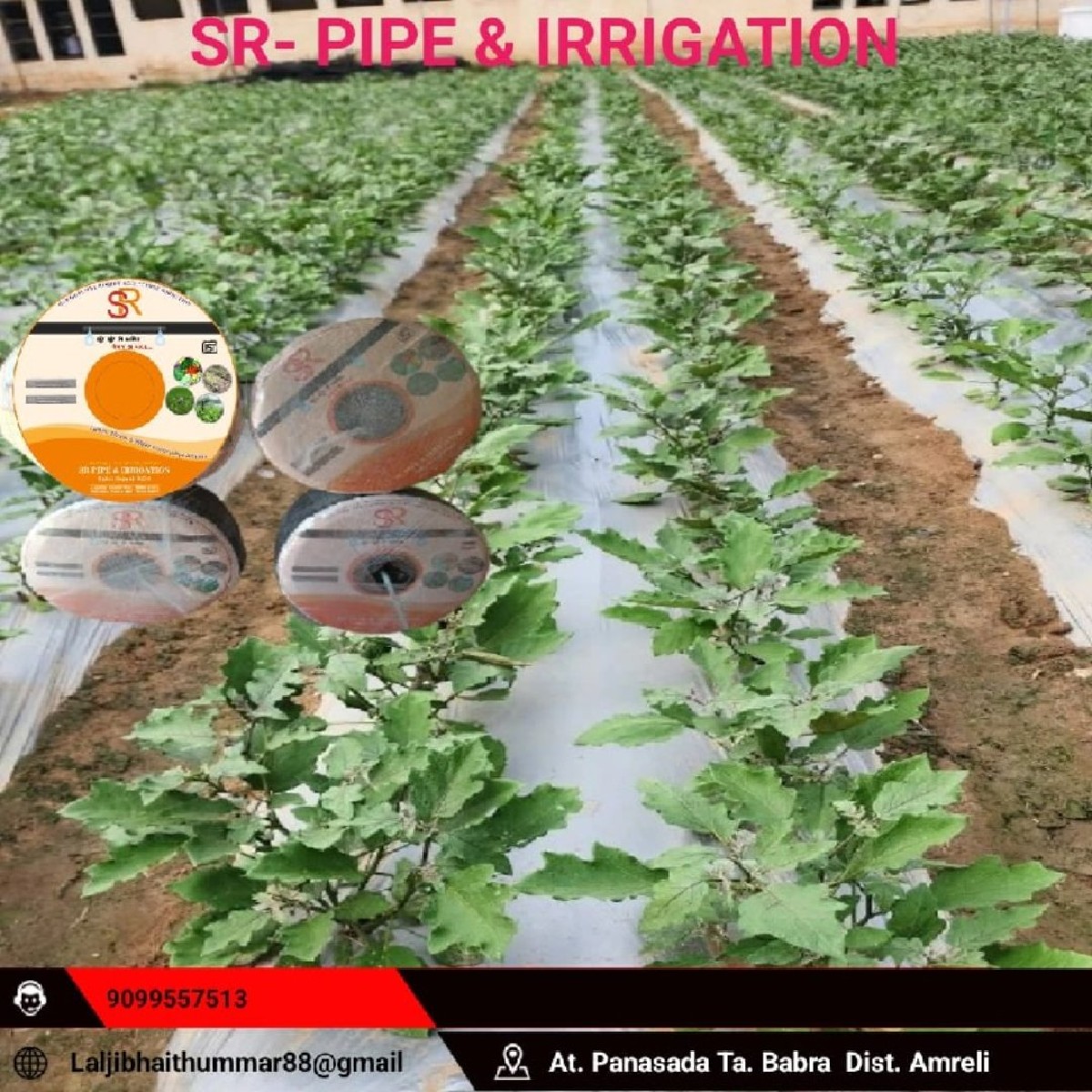 Post Image 3