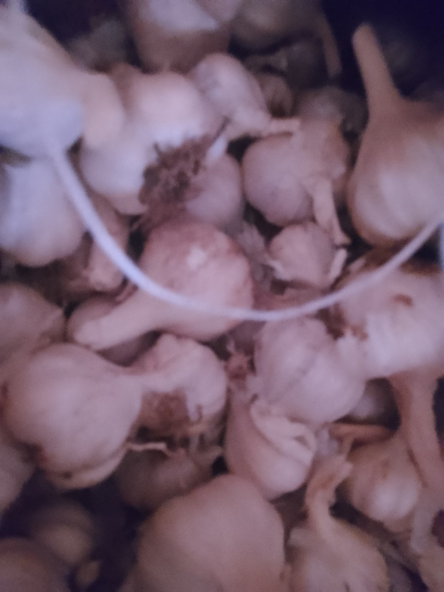 Post Image 3