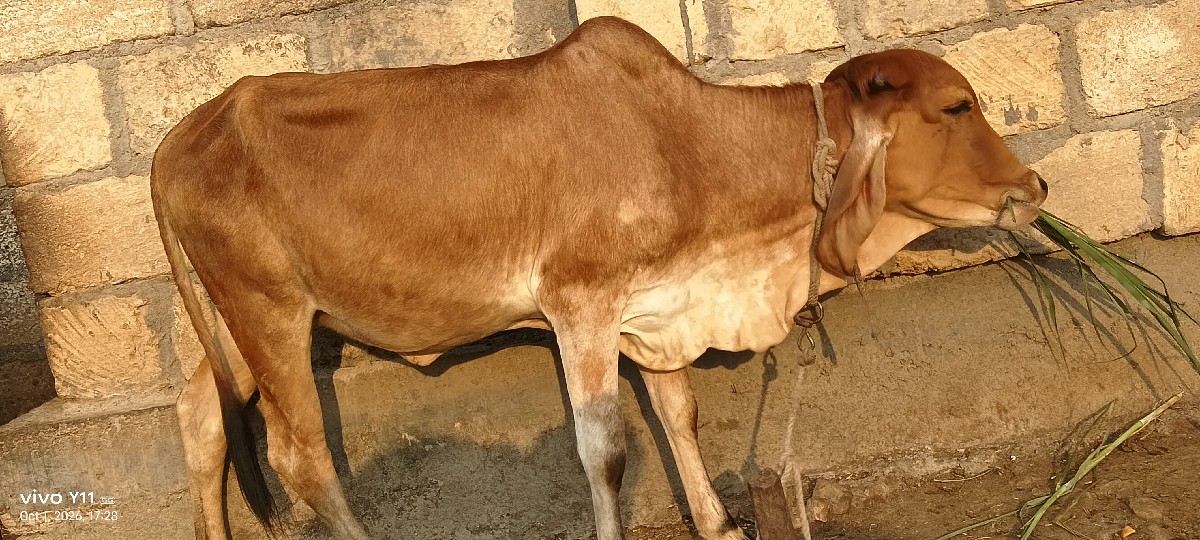 Post Image 3