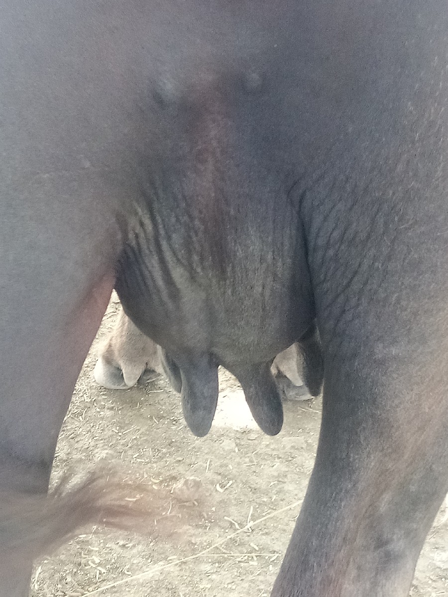 Post Image 3