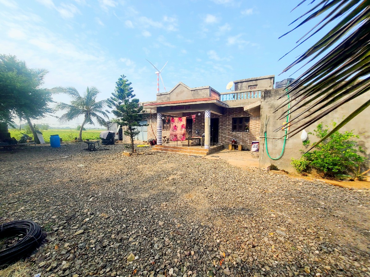 Post Image 3