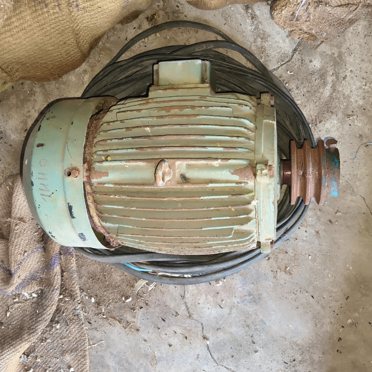 Post Image 3