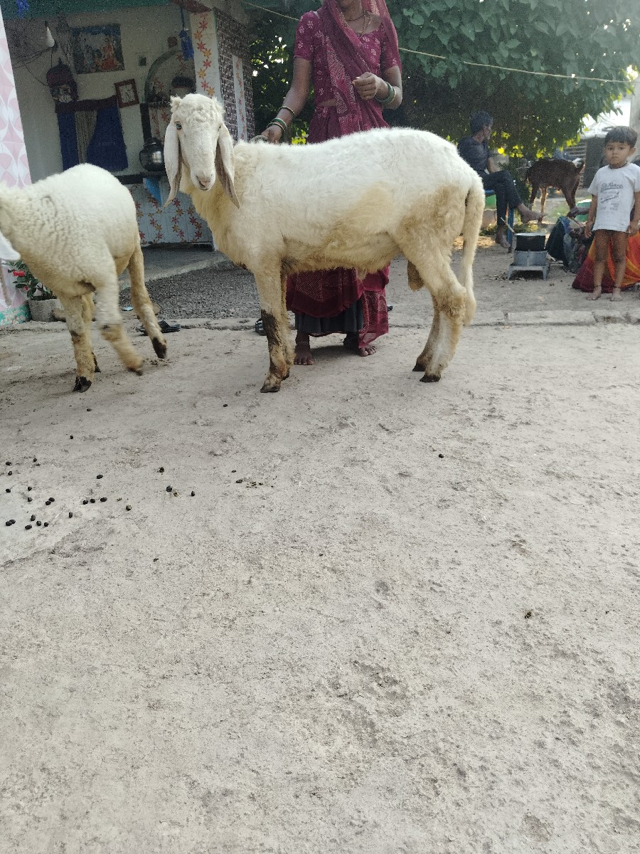 Post Image 1