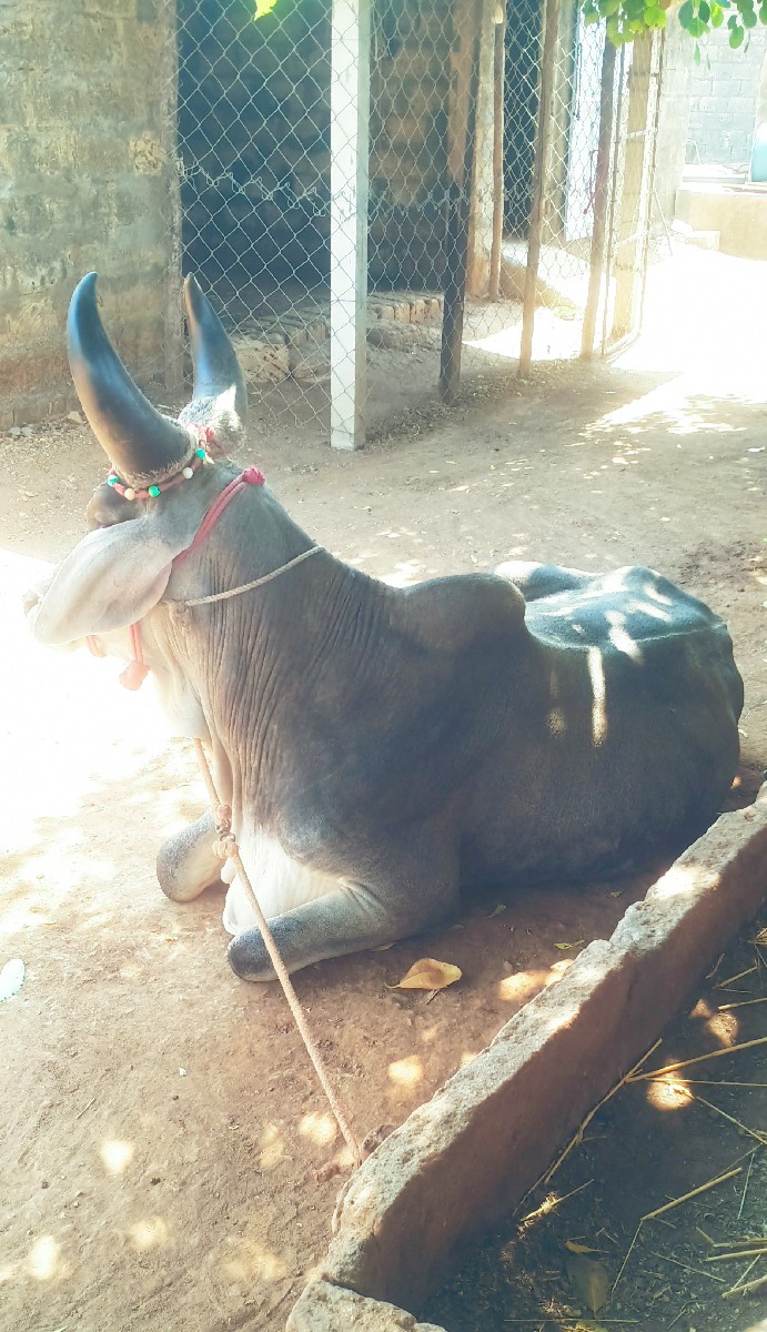 Post Image 3