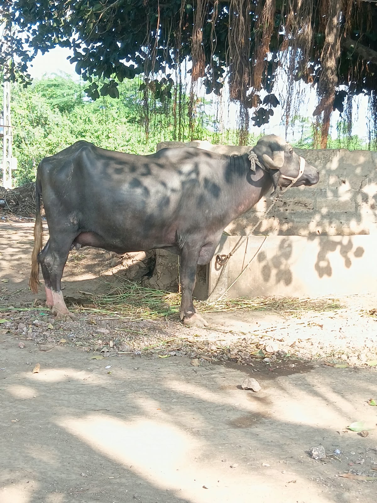 Post Image 2
